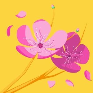 Meet your Posher, Michele